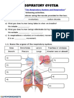 The Respiratory System: " " and Complete The Following Activities