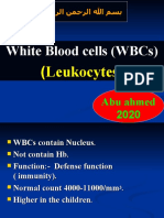 White Cells L5