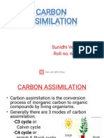 Carbon Assimilation: Sunidhi Verma Roll No.-607