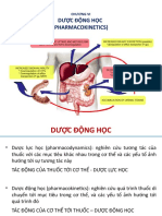 Drug Metabolism