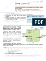 S2P1 - Diabete Mellitus Tipo 1