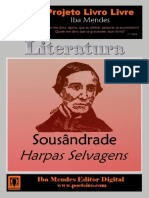 Harpas Selvagens - Sousandrade - IBA MENDES