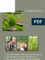 TUMBUHAN