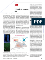 A Gut-Brain Neural Circuit For Nutrient Sensory Transduction