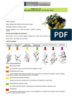 Condiciones Agroclimaticas Olivo 0