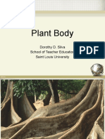 Plant Body: Dorothy D. Silva School of Teacher Education Saint Louis University