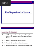 10 Reproductive System