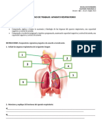 Cuaderno de Trabajo