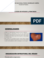 Higado y Pancreas