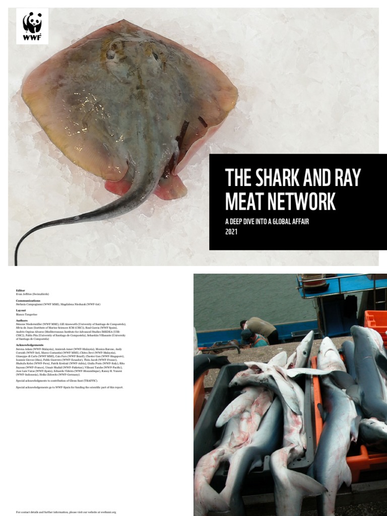 The Shark and Ray Meat Network - 2021 | PDF | Trade