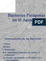 Bacterias Patógenas en El Agua