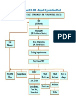 Kiri & Company Pvt. Ltd. - Project Organization Chart