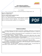 Relatório de audiência sobre seguro obrigatório