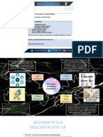 Mapa Conceptual de Los Problemas en La Economía