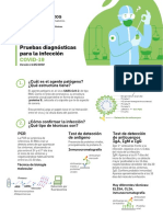 Infografia Pruebas Diagnosticas Covid 19