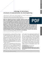 2009 - DaYong Et Al - Control of The Morphology of Micronanostructures