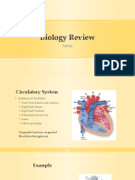 Biology Review: Subtitle