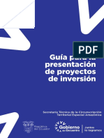 Guia Presentacion Proyectos de Inversion