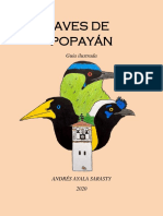 Aves de Popayán (1)