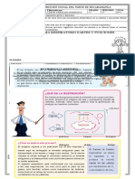 Plantilla Guia Ciencias v1