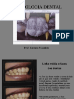 Dental morphology features