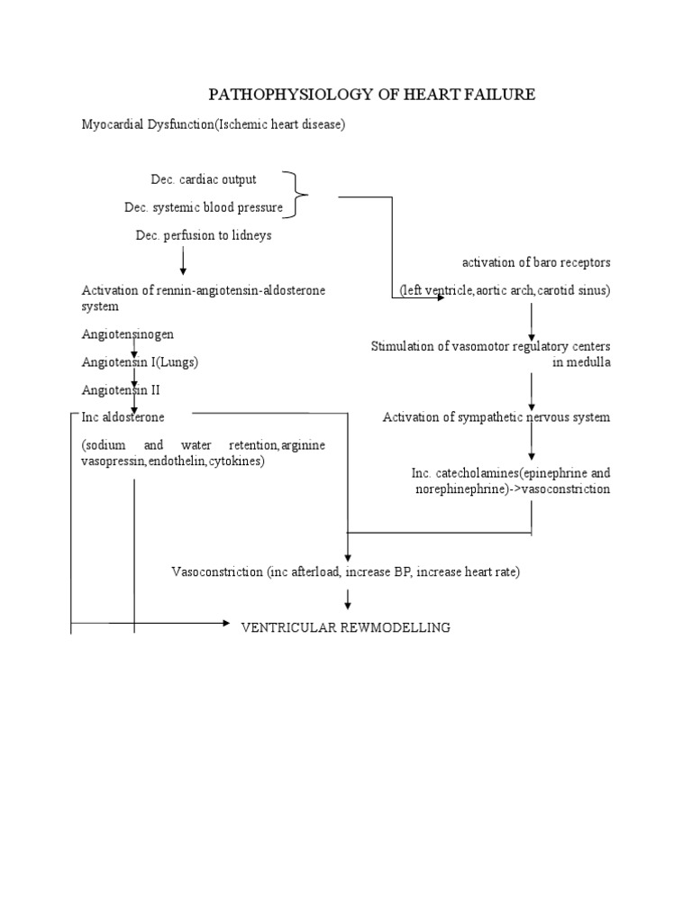 Pathophysiology of Heart Failure | PDF
