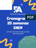 Cronograma 20 Semanas Projeto Aprovação