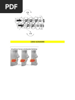 Elasticos Con Centros de Rotacion.