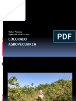 Fazenda Colorado 2021