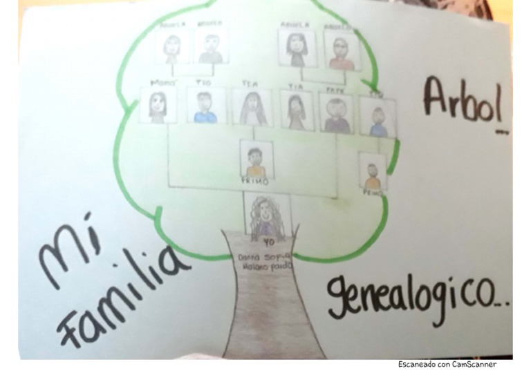 Actividad Arbol Genealogico | PDF