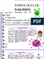 Cuadro Comparativo Definiciones - Microbiología.