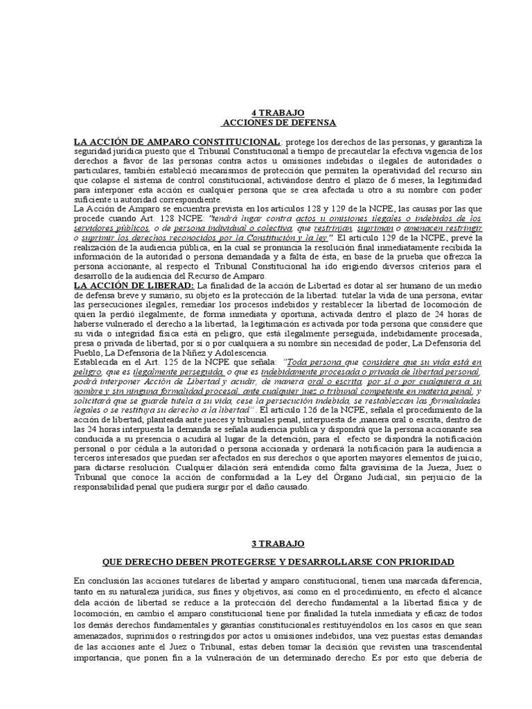 Acciones de Amparo y Libertad en Derecho | PDF | Derecho Constitucional ...