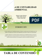 Contabilidad ambiental guía