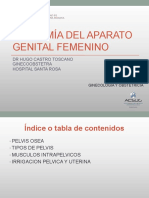 1. Anatomia Del Aparato Genital Femenino.pptx