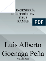 2 Descripción Ramas Ingeniería Electrónica LUIS GOENAGA 1