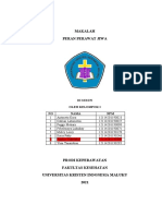 Peran Keperawatan Jiwa