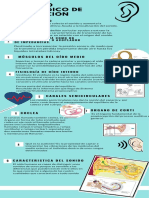 Infografia Anatomofisiología