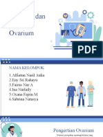 Ovarium