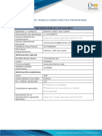 Anexo 1 Formato Practica Profecional