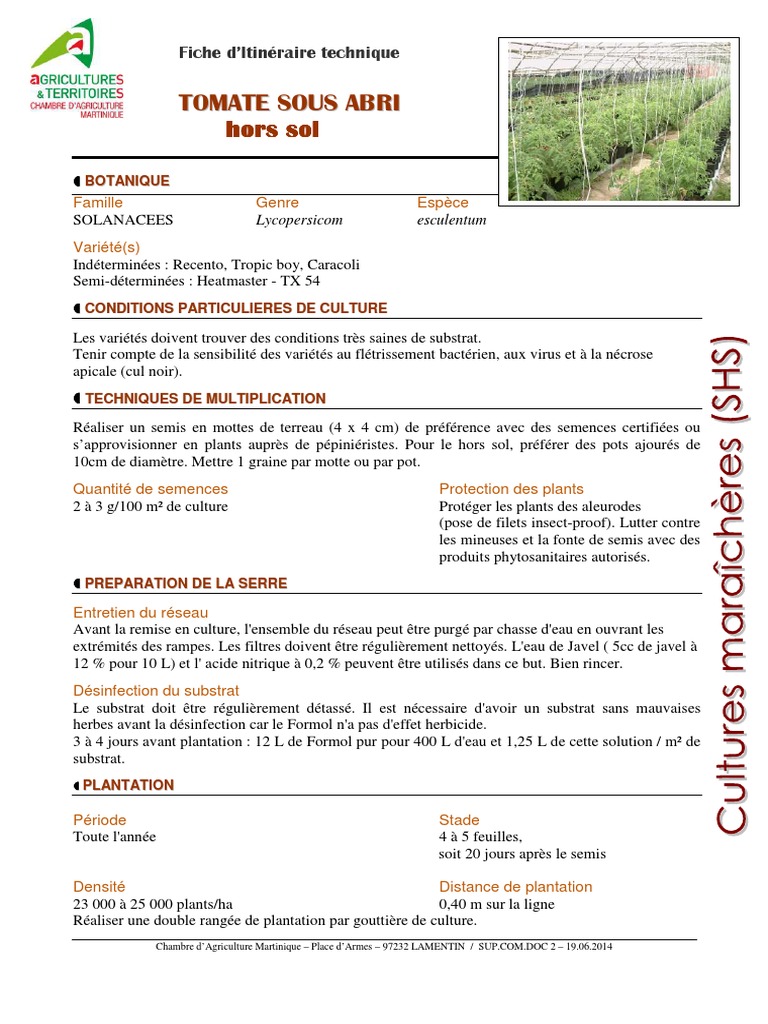 Itinéraire technique tomate hors sol PDF Plantes Agriculture — free download