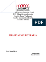 Informe Imaginacion Literaria