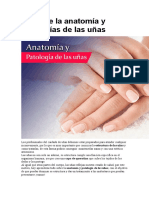 Anatomía y patologías de las uñas: estructura, función y cuidados