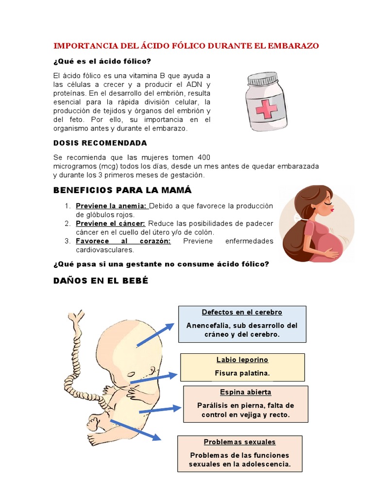 Los beneficios del ácido fólico en el embarazo