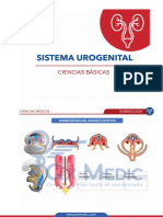 Sistema Urogenital