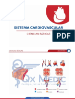 Sistema Cardiovascular