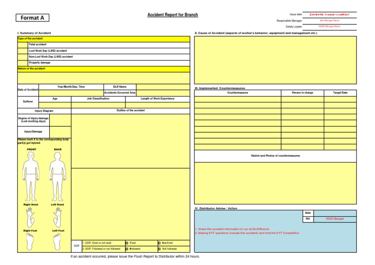 Flush Report Template PDF Safety