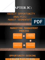 Market Opportunity Analysis Report
