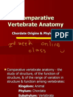 2nd Week Online Class Comparative Vertebrate Anatomy