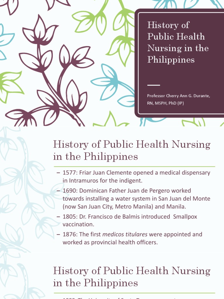 History of Public Health Nursing PDF | PDF | Health Care | Health System