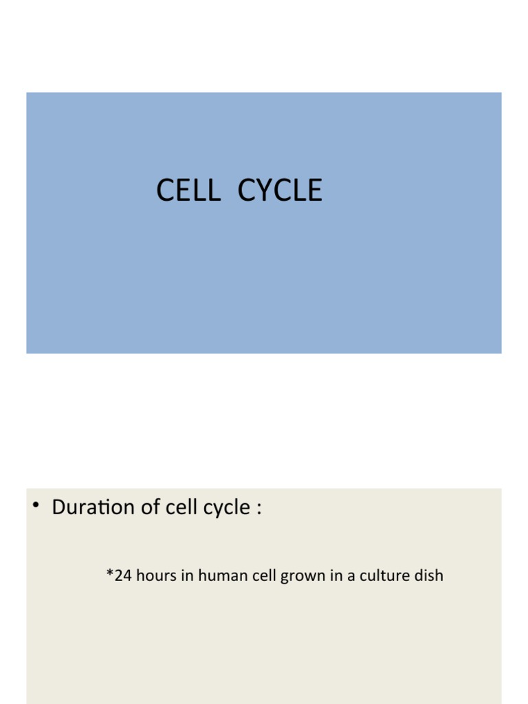 Cell Cycle Biology Diagrams